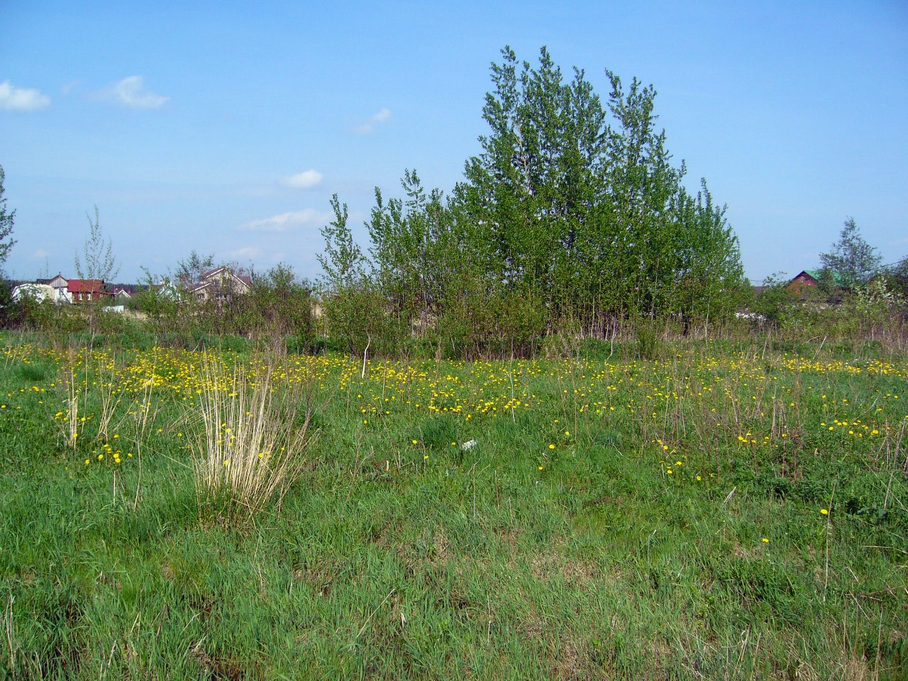 Валентина Комольцева