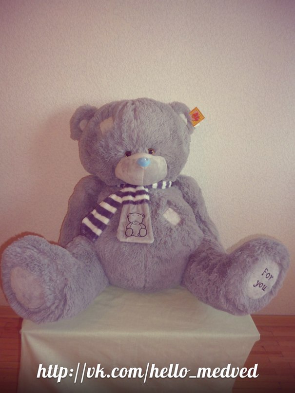 плюшевый мишка Тедди