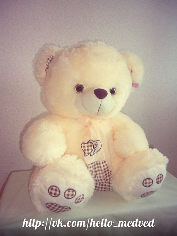 плюшевый мишка