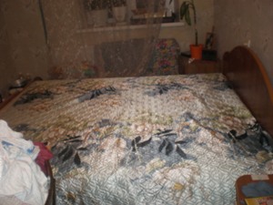 спальный гарнитур (спальня)